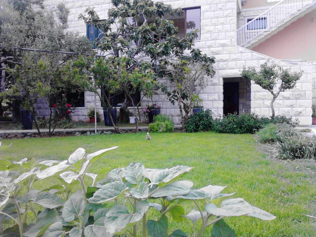 Apartments Franka Sumartin Rum bild