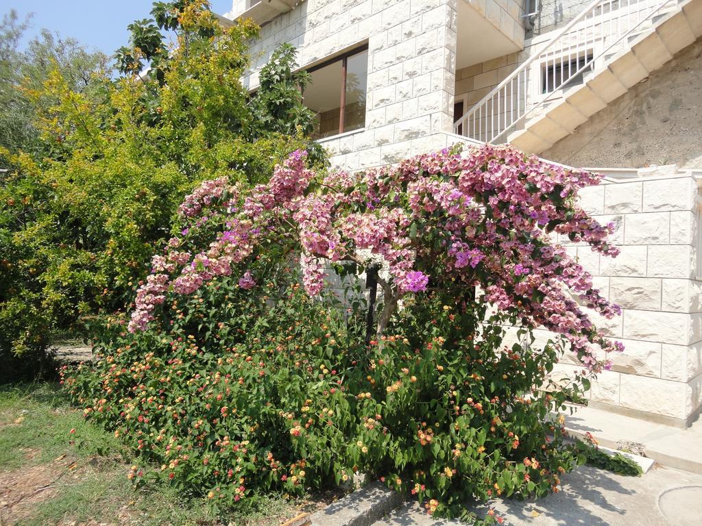 Apartments Franka Sumartin Rum bild